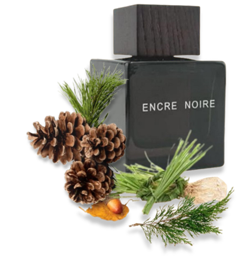 Encre-Noire لالیک انکر نویر مردانه | Lalique Encre Noire - تصویر 1